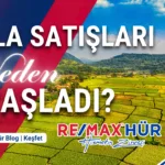 Tarla ve Arazi Satışları Neden Yavaşladı? Sakarya’dan Türkiye Geneline 2026 Piyasa Analizi